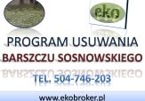 Program zwalczania barszczu Sosnowskiego, tel. 504-746-203, plan dla gmin