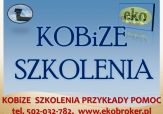 Szkolenie z raportu Kobize 2016, tel 502-032-782, raport Kobize szkolenia