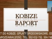 Ile kosztuje raport do kobize? Tel. 502-032-782, Sprawozdanie do bazy KOBiZE