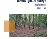 Jamna gm. Zakliczyn działka leśna 71 ar