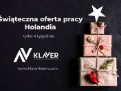 Dodatkowa praca na święta - wyjazd do Holandii!