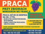 WINOBRANIE FRANCJA