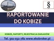 Raportowanie do Kobize, cena tel, 502-032-782, wykonanie zgłoszenia